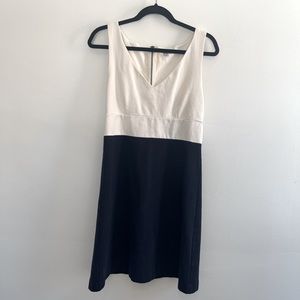 J. Crew Navy and Cream Cotton Dress Size 8